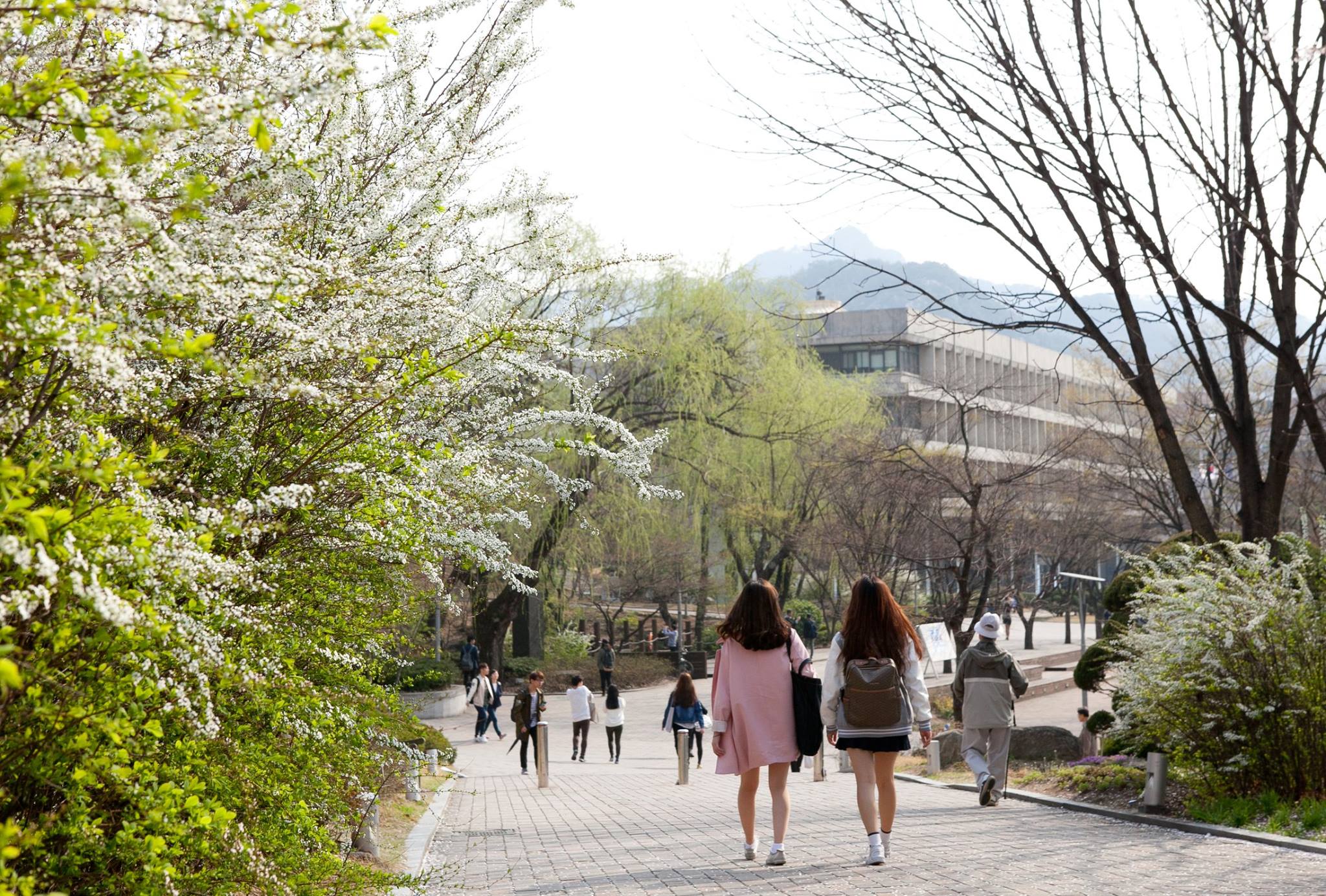 Khuôn viên trường Đại Học Quốc Gia Seoul